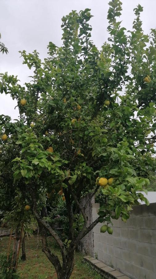 Casa Independiente Para Grandes Grupos Y Familias Valeixe Dış mekan fotoğraf